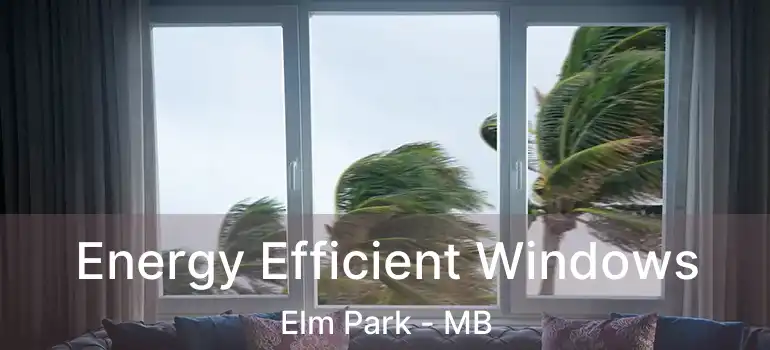  Energy Efficient Windows Elm Park - MB