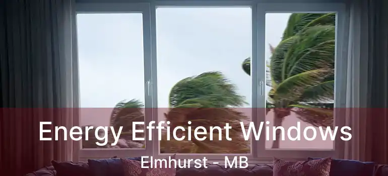  Energy Efficient Windows Elmhurst - MB