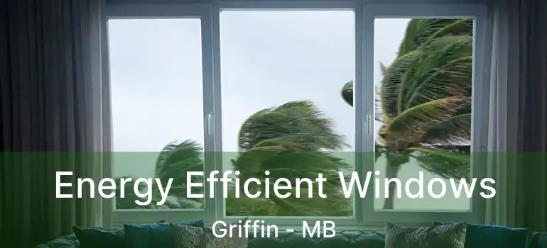  Energy Efficient Windows Griffin - MB