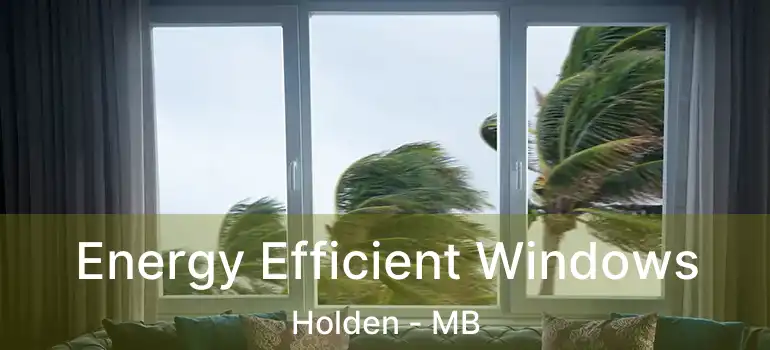  Energy Efficient Windows Holden - MB