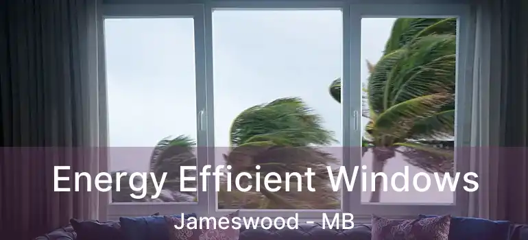  Energy Efficient Windows Jameswood - MB