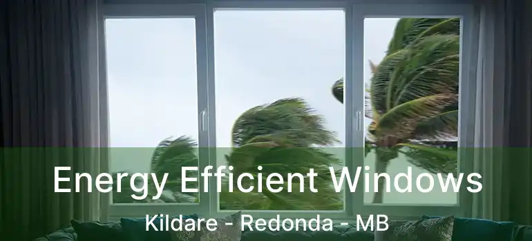  Energy Efficient Windows Kildare - Redonda - MB
