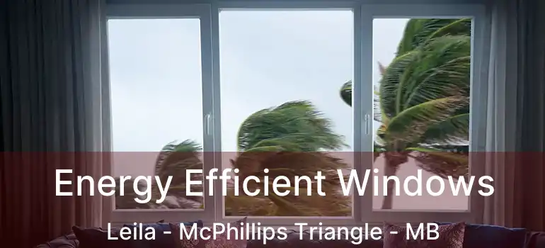  Energy Efficient Windows Leila - McPhillips Triangle - MB