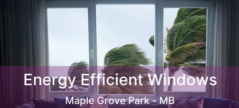  Energy Efficient Windows Maple Grove Park - MB