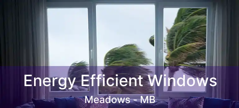  Energy Efficient Windows Meadows - MB