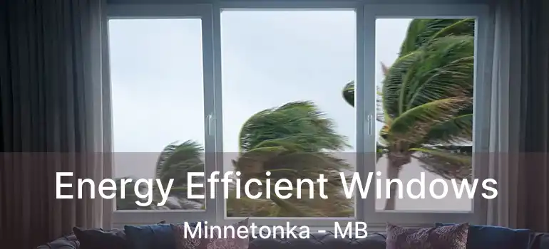  Energy Efficient Windows Minnetonka - MB