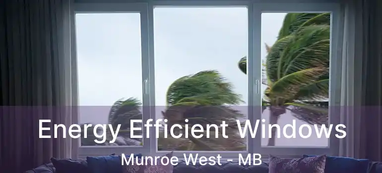  Energy Efficient Windows Munroe West - MB