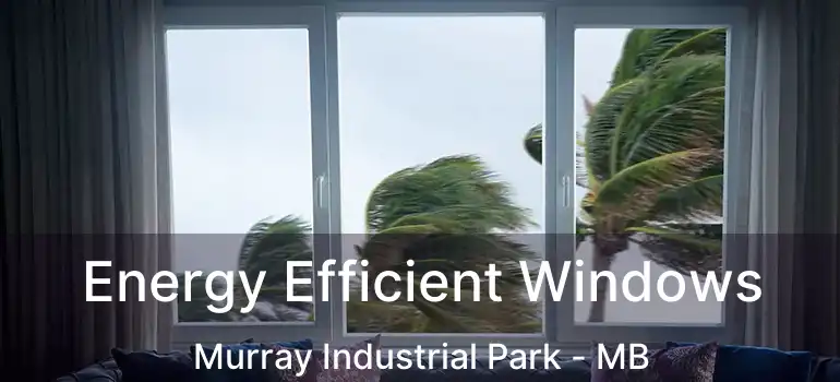  Energy Efficient Windows Murray Industrial Park - MB