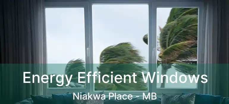  Energy Efficient Windows Niakwa Place - MB