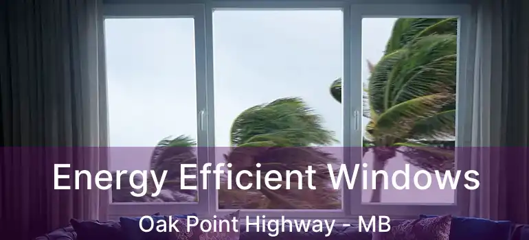  Energy Efficient Windows Oak Point Highway - MB