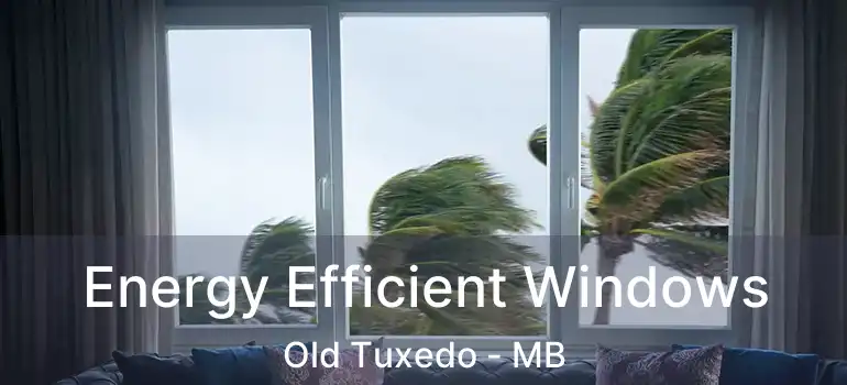  Energy Efficient Windows Old Tuxedo - MB