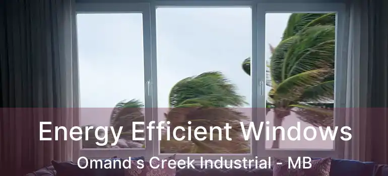  Energy Efficient Windows Omand s Creek Industrial - MB