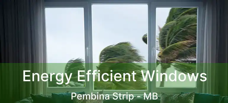  Energy Efficient Windows Pembina Strip - MB
