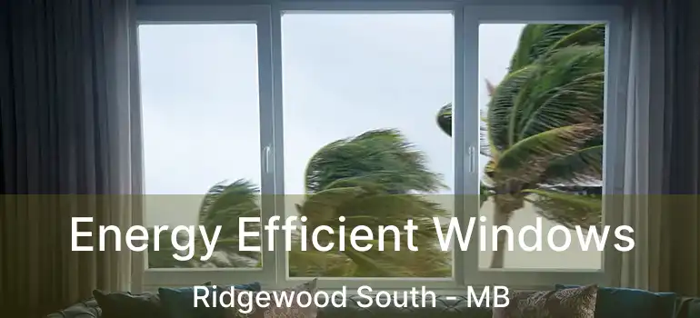  Energy Efficient Windows Ridgewood South - MB