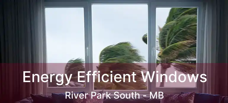  Energy Efficient Windows River Park South - MB