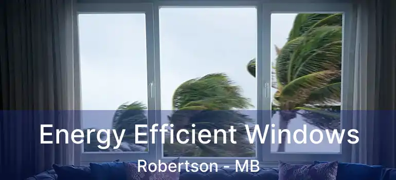  Energy Efficient Windows Robertson - MB