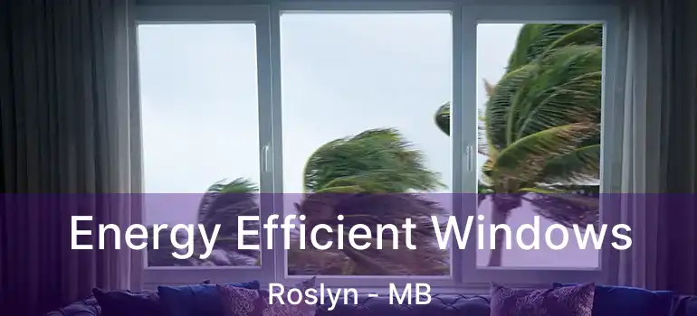  Energy Efficient Windows Roslyn - MB