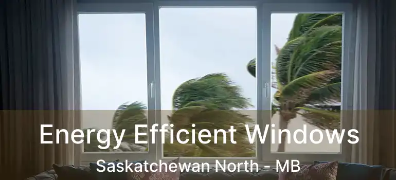  Energy Efficient Windows Saskatchewan North - MB