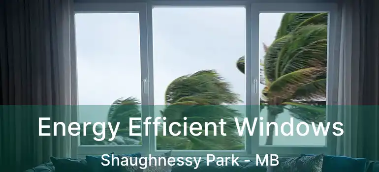  Energy Efficient Windows Shaughnessy Park - MB