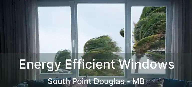  Energy Efficient Windows South Point Douglas - MB