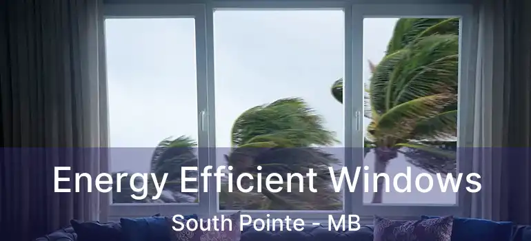  Energy Efficient Windows South Pointe - MB