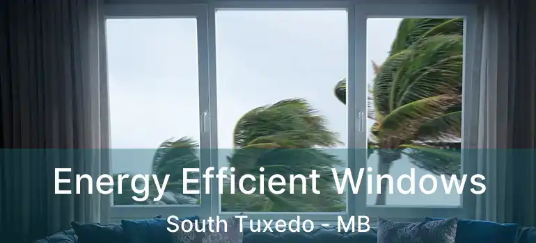  Energy Efficient Windows South Tuxedo - MB