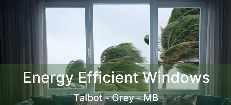  Energy Efficient Windows Talbot - Grey - MB