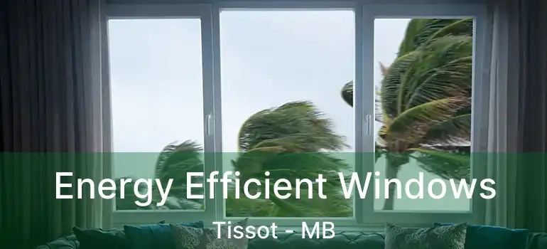  Energy Efficient Windows Tissot - MB