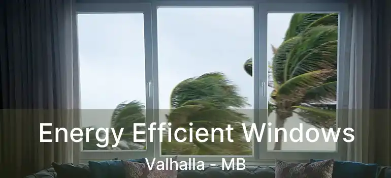  Energy Efficient Windows Valhalla - MB