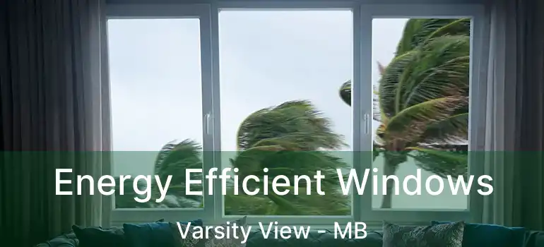  Energy Efficient Windows Varsity View - MB