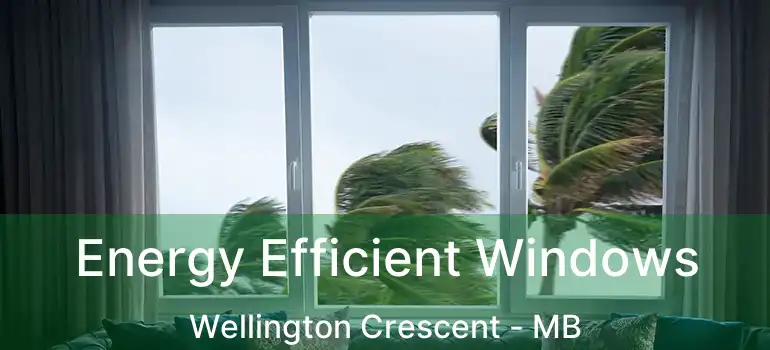  Energy Efficient Windows Wellington Crescent - MB