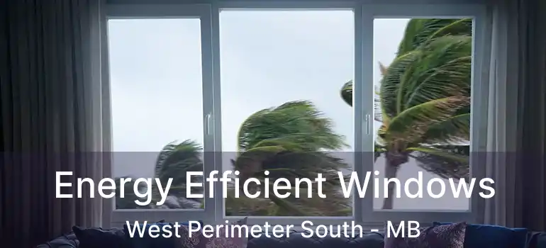  Energy Efficient Windows West Perimeter South - MB