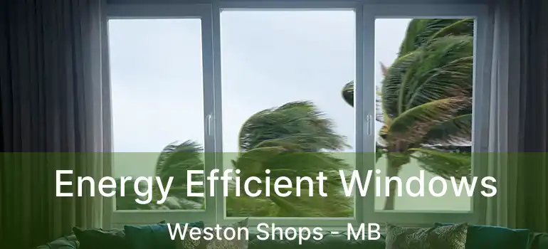  Energy Efficient Windows Weston Shops - MB