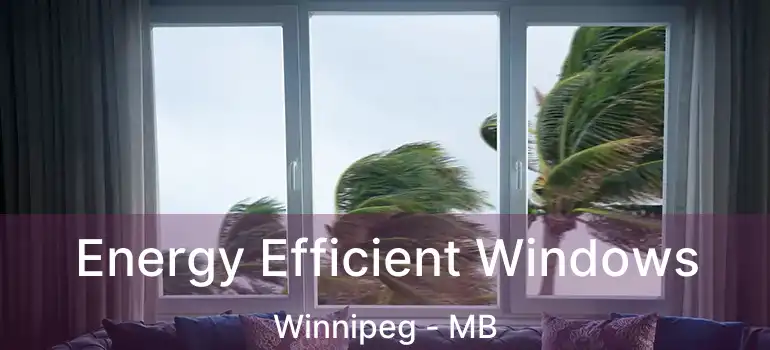  Energy Efficient Windows Winnipeg - MB