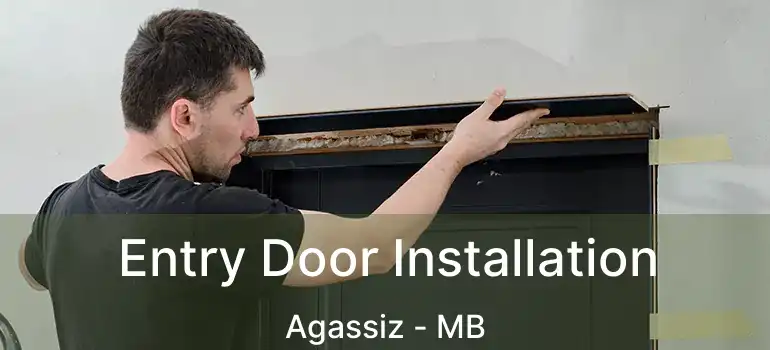  Entry Door Installation Agassiz - MB