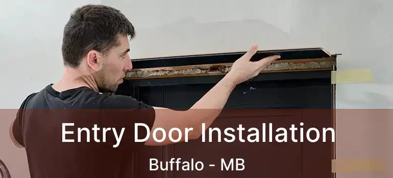  Entry Door Installation Buffalo - MB