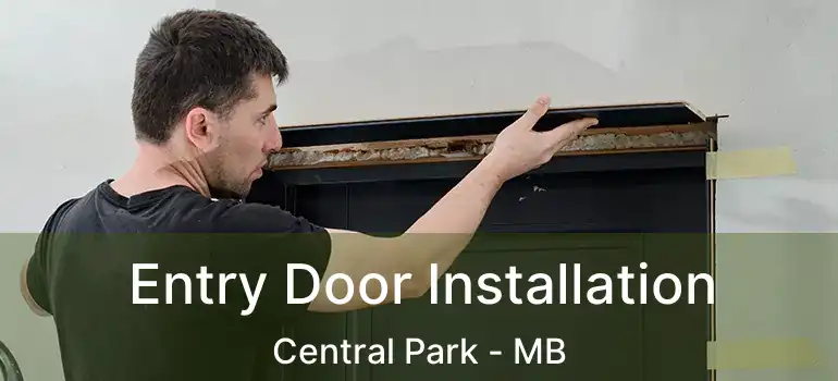  Entry Door Installation Central Park - MB