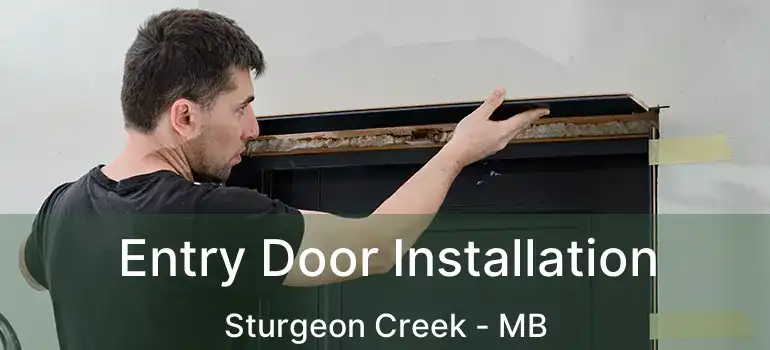  Entry Door Installation Sturgeon Creek - MB