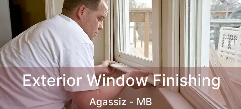 Exterior Window Finishing Agassiz - MB