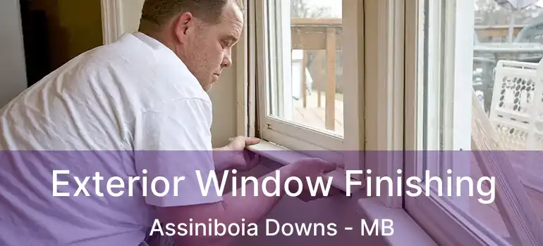  Exterior Window Finishing Assiniboia Downs - MB