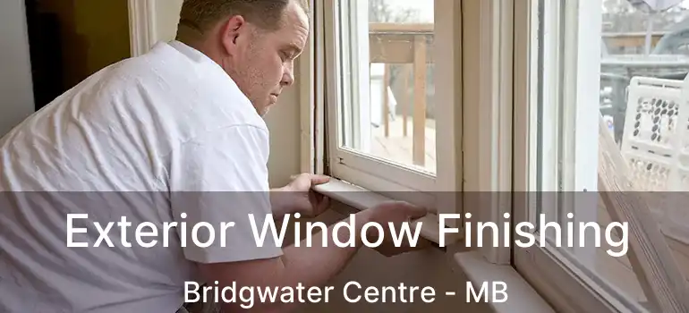  Exterior Window Finishing Bridgwater Centre - MB