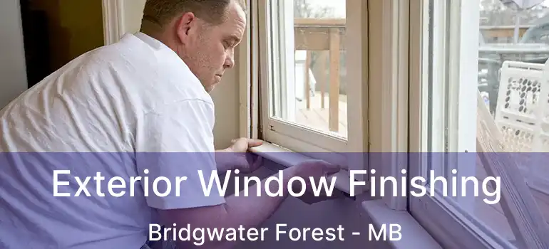  Exterior Window Finishing Bridgwater Forest - MB