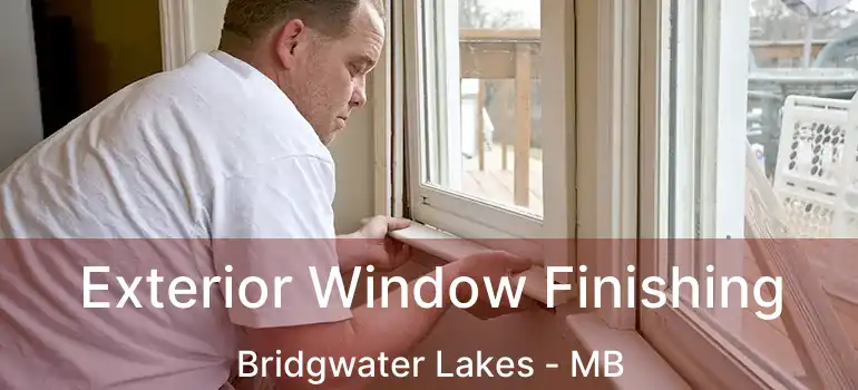  Exterior Window Finishing Bridgwater Lakes - MB