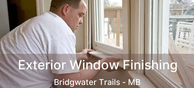  Exterior Window Finishing Bridgwater Trails - MB