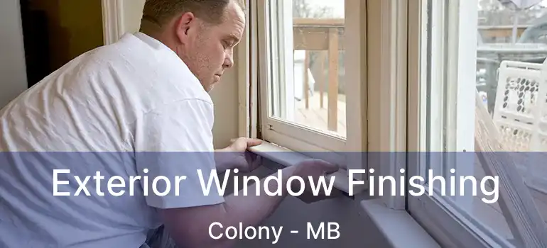  Exterior Window Finishing Colony - MB