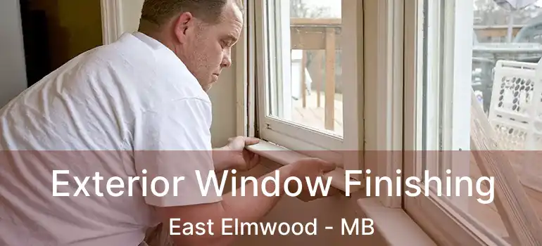  Exterior Window Finishing East Elmwood - MB