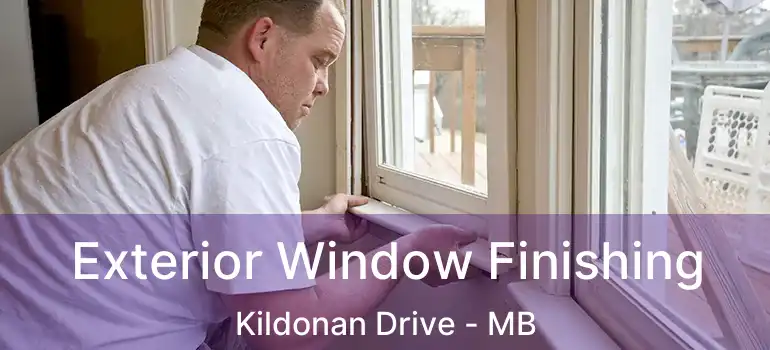  Exterior Window Finishing Kildonan Drive - MB