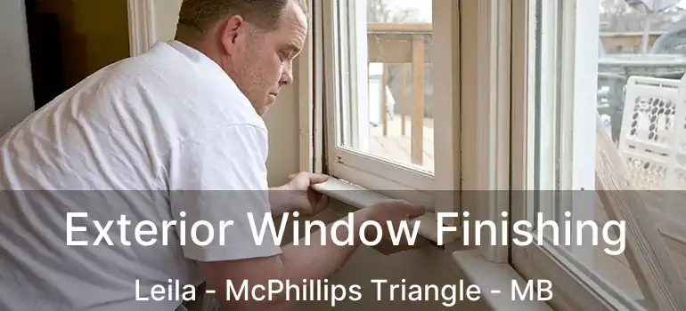  Exterior Window Finishing Leila - McPhillips Triangle - MB