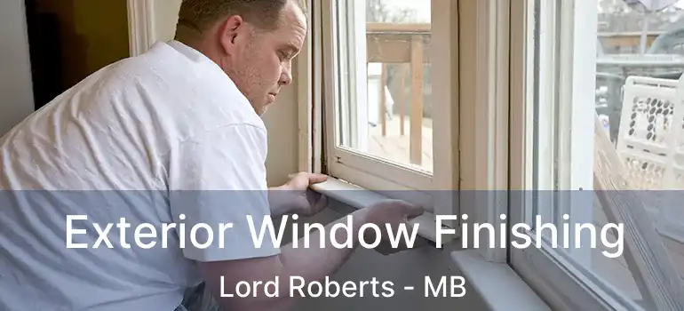  Exterior Window Finishing Lord Roberts - MB