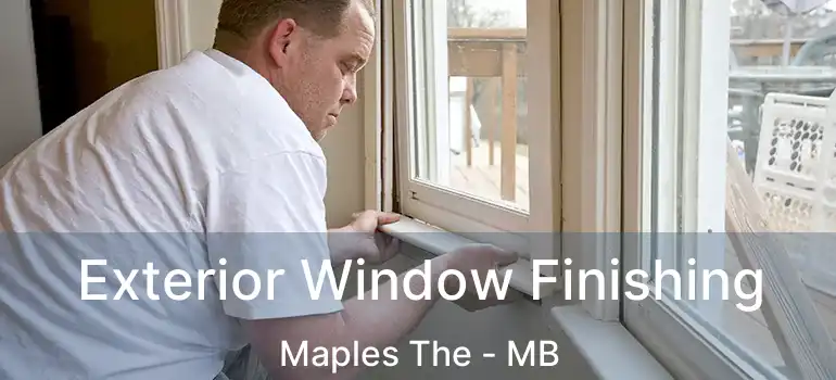  Exterior Window Finishing Maples The - MB